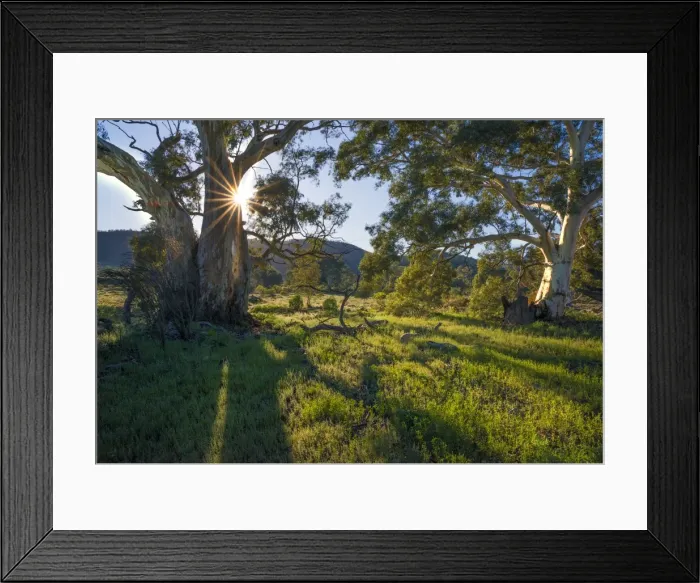 Framed Print : Brachina Gorge sunrise