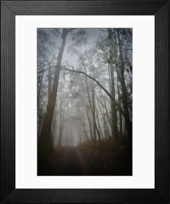 Framed Print : Misty dawn on a country road near Macedon, Victoria, Australia Framed Print : Misty dawn on a country road near Macedon, Victoria, Australia