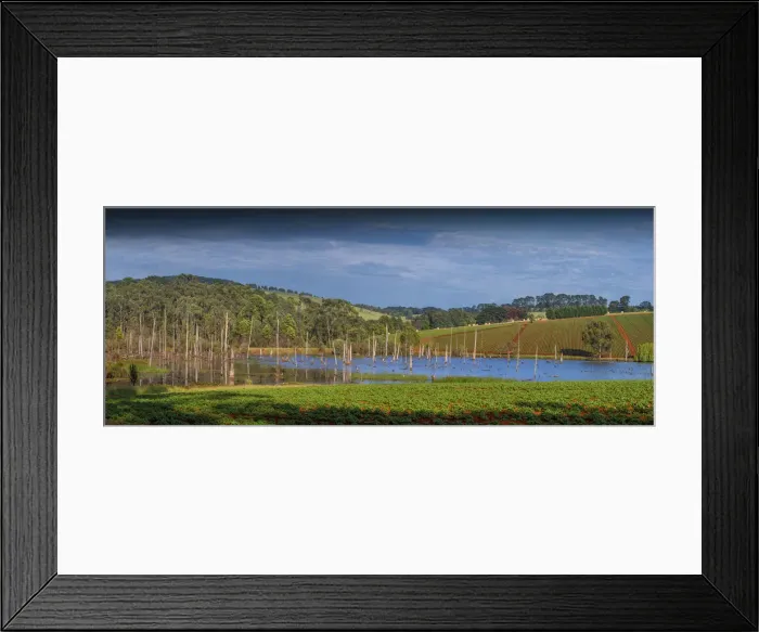 Framed Print : Rich farmland near Mirboo north, Victoria, Australia Framed Print : Rich farmland near Mirboo north, Victoria, Australia