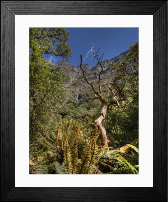 Framed Print : Waterfall in the Clinton Valley, Milford track, South Island, New Zealand Framed Print : Waterfall in the Clinton Valley, Milford track, South Island, New Zealand