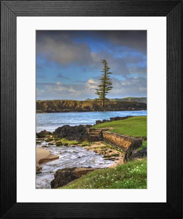Framed Print : Emily bay. Beautiful Emily bay and view across to the Lone pine at Point Hunter