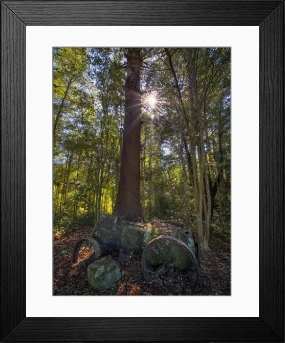 Framed Print : Old and rusting machinery, Norfolk Island, South Pacific