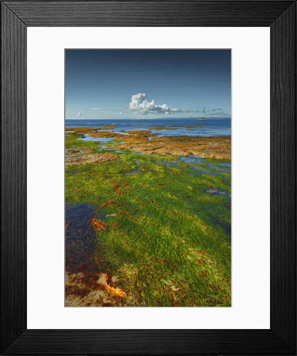 Framed Print : Flinders coastline, Western-port bay, Victoria, Australia Framed Print : Flinders coastline, Western-port bay, Victoria, Australia