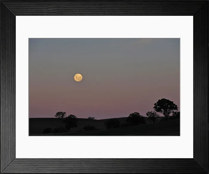 Framed Print : Moon rising, Mansfield, Victoria, Australia