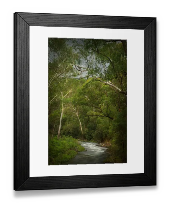 Framed Print : Howqua river, Alpine country of Victoria, Australia