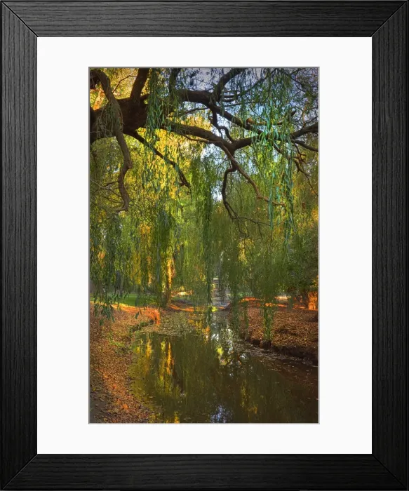 Framed Print : Foster creek, Victoria, Australia Framed Print : Foster creek, Victoria, Australia
