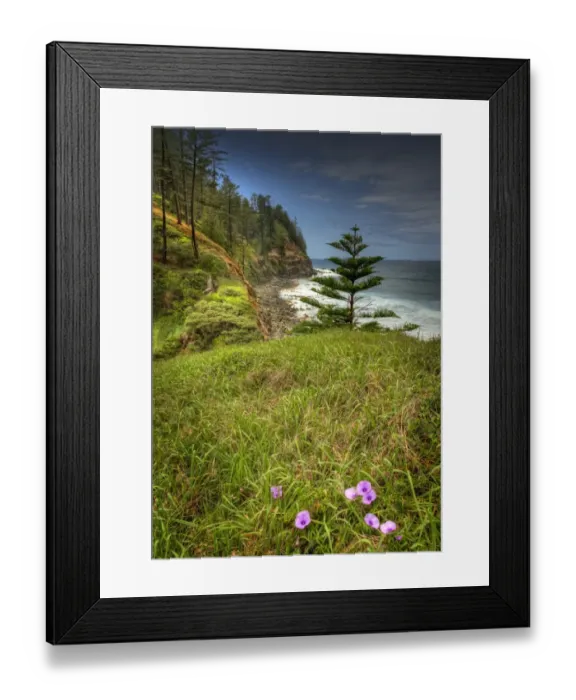 Framed Print : Coastal view near Bloody Bridge
