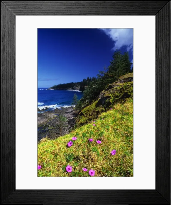 Framed Print : Coastal view