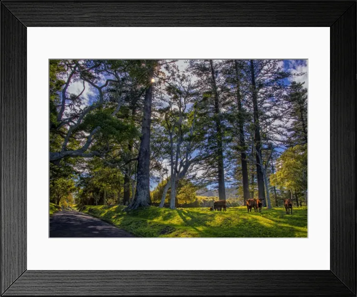 Framed Print : Anson bay road Framed Print : Anson bay road
