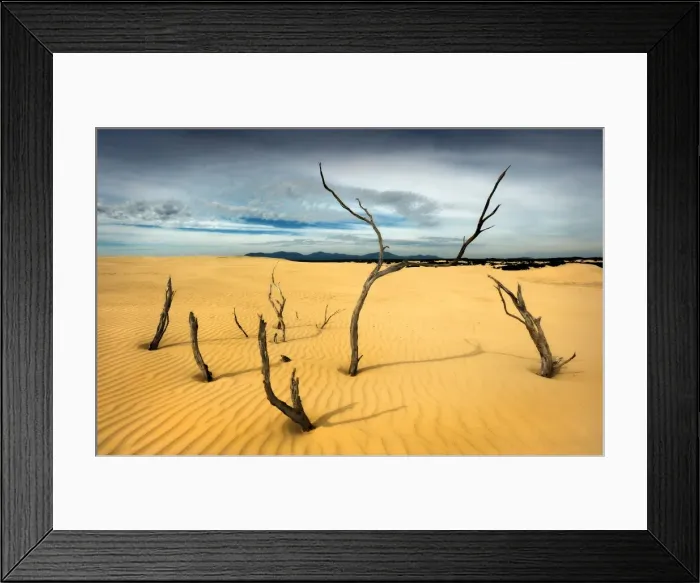 Framed Print : Sand-dunes in Wilsons Promontory National Park, Victoria, Australia
