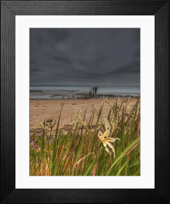 Framed Print : Tenby point, Western port bay, Victoria, Australia Framed Print : Tenby point, Western port bay, Victoria, Australia