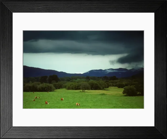 Framed Print : Brewing Storm, Healsville countryside, Victoria, Australia Framed Print : Brewing Storm, Healsville countryside, Victoria, Australia