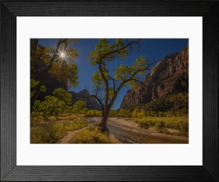 Framed Print : Sunstar Zion National Park, Arizona, Western united States of America