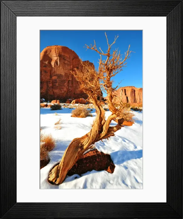 Framed Print : Monument valley in winter, Arizona, Western united States of America