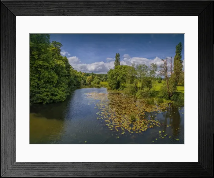 Framed Print : Stour river at Blandford Forum