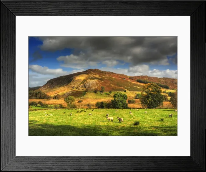Framed Print : The colors of Grassmere