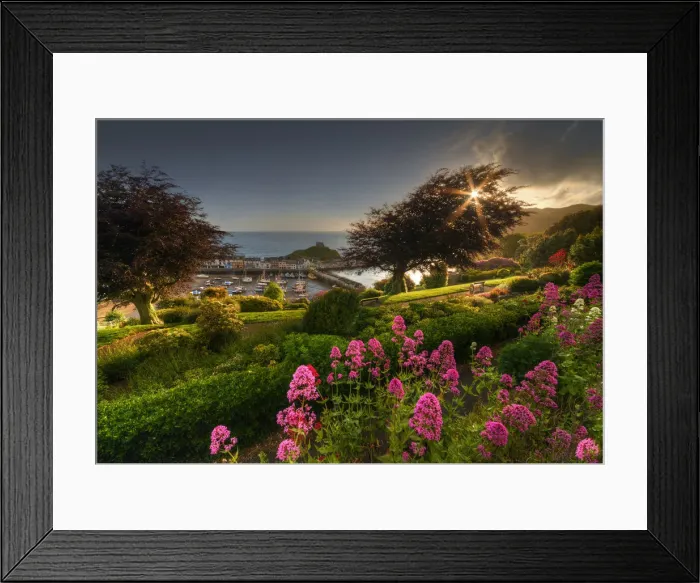 Framed Print : St. James park at Dawn Framed Print : St. James park at Dawn