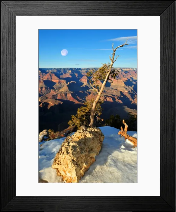 Framed Print : Setting moon, Grand Canyon, Arizona, Western united States of America Framed Print : Setting moon, Grand Canyon, Arizona, Western united States of America