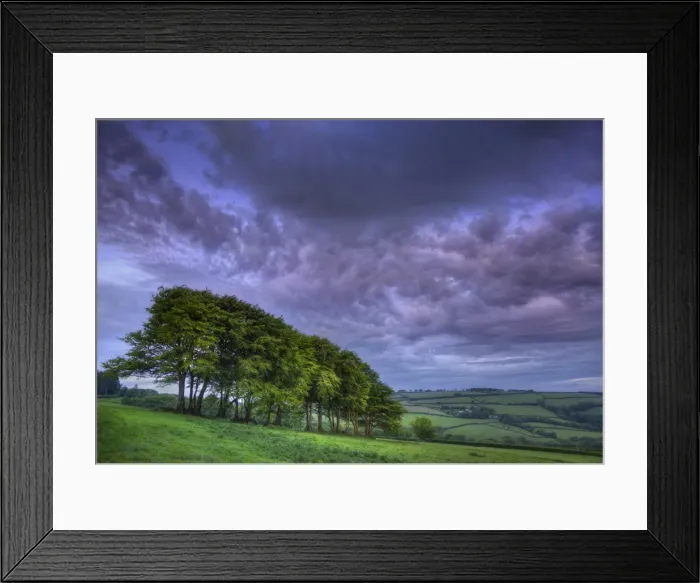 Framed Print : Blackmoor gate dawn