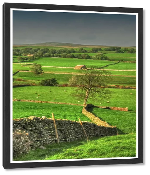 Yorkshire Dales countryside