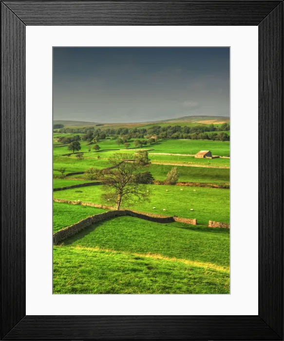 Framed Print : Countryside Yorkshire Dales
