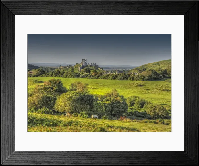Framed Print : View to Corfe Castle Framed Print : View to Corfe Castle