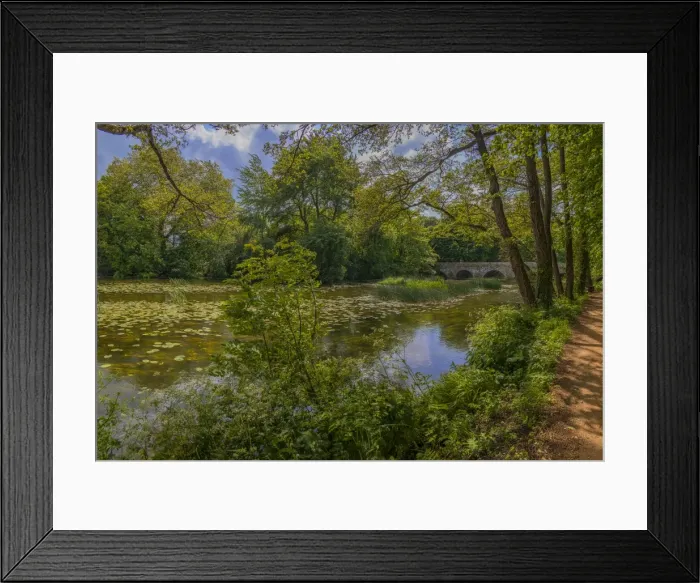 Framed Print : Stour river at Blandford Forum Framed Print : Stour river at Blandford Forum