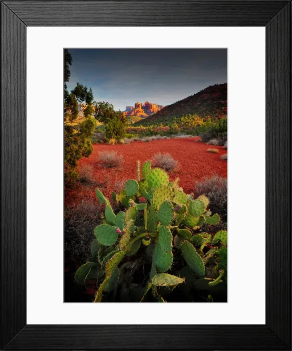 Framed Print : A Sedona view, Arizona, Western united States of America