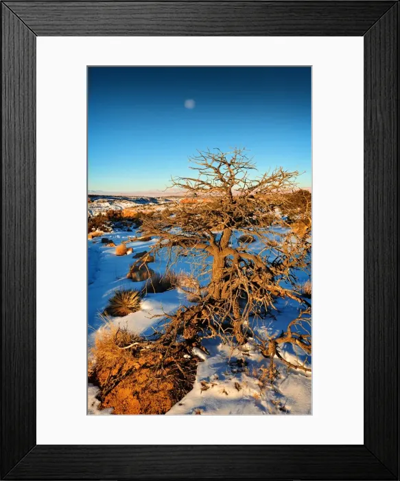 Framed Print : Rising moon, Canyon De Chelly, Arizona, Western united States of America