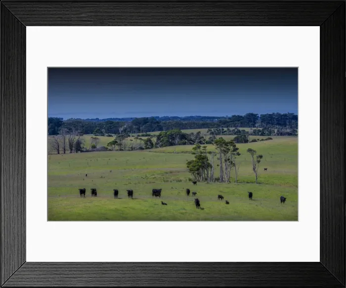 Framed Print : Rural view near Gentle Annie, King Island, Bass Strait, Tasmania, Australia
