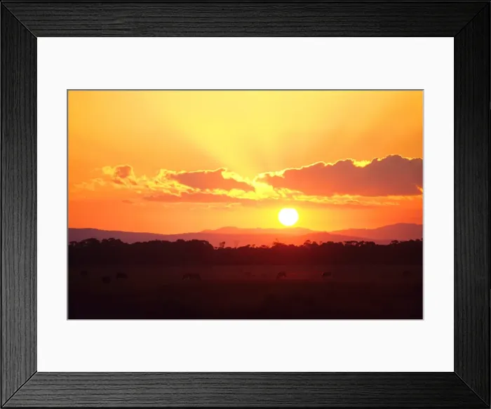 Framed Print : Sunset in the countryside near Yarram, Victoria, Australia Framed Print : Sunset in the countryside near Yarram, Victoria, Australia