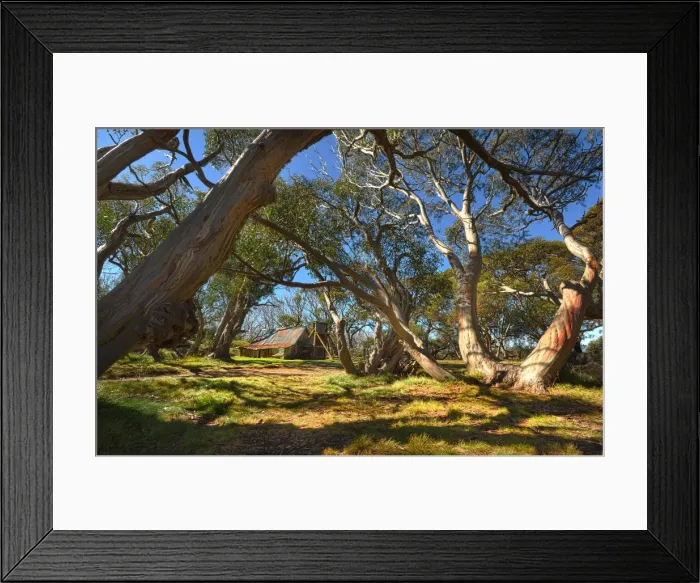 Framed Print : Wallaces hut, Alpine country, Victoria, Australia Framed Print : Wallaces hut, Alpine country, Victoria, Australia