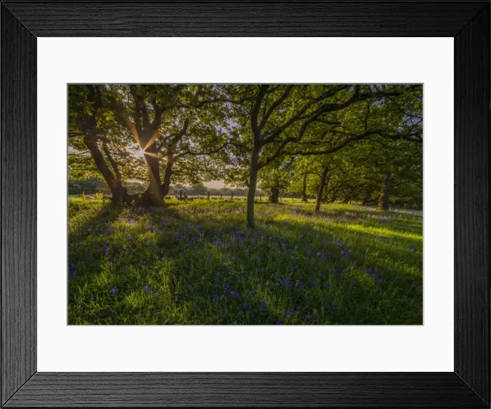 Framed Print : Early morning Stokeford Framed Print : Early morning Stokeford