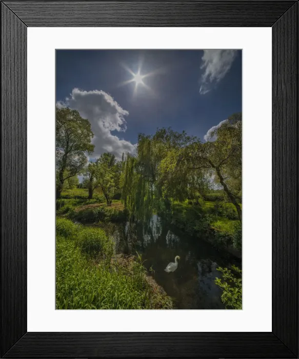 Framed Print : Pond at Spetisbury Framed Print : Pond at Spetisbury