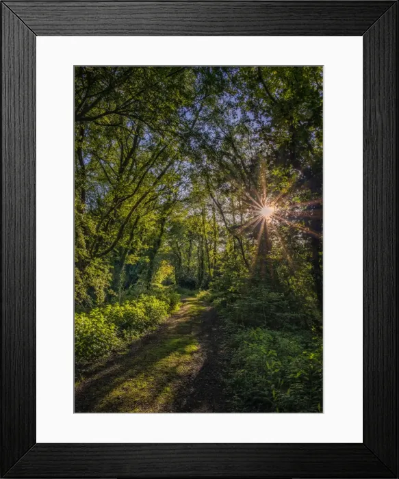 Framed Print : Frome River Laneway