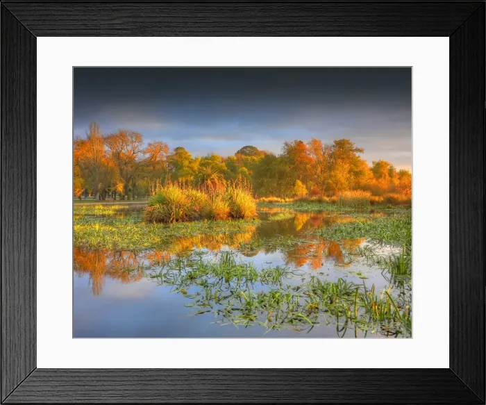 Framed Print : Lake Wendouree dawn in Autumn, Victoria, Australia