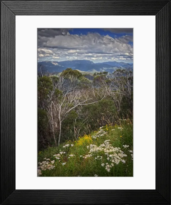 Framed Print : View at Mount Buller, Victoria, Australia Framed Print : View at Mount Buller, Victoria, Australia