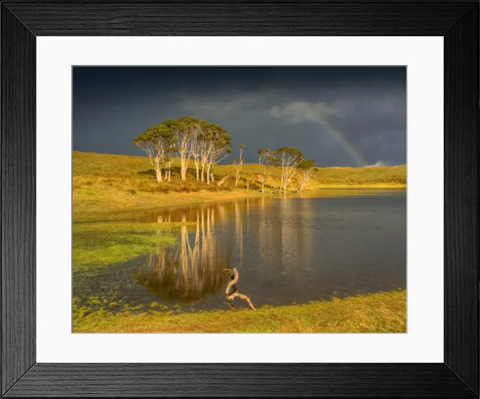 Framed Print : winter light at Attrills corner, King Island, Bass Strait, Tasmania, Australia Framed Print : winter light at Attrills corner, King Island, Bass Strait, Tasmania, Australia