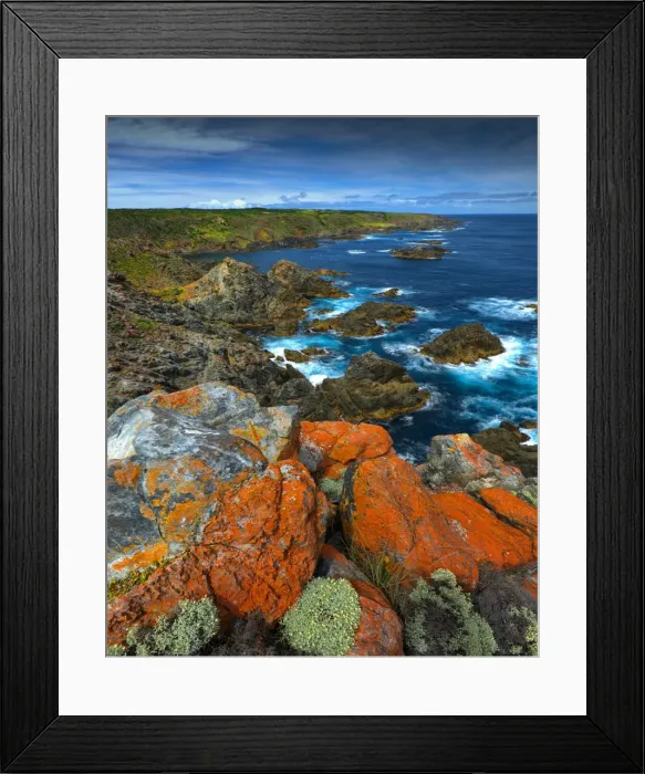 Framed Print : Seal bay, King Island, Bass Strait, Tasmania, Australia Framed Print : Seal bay, King Island, Bass Strait, Tasmania, Australia
