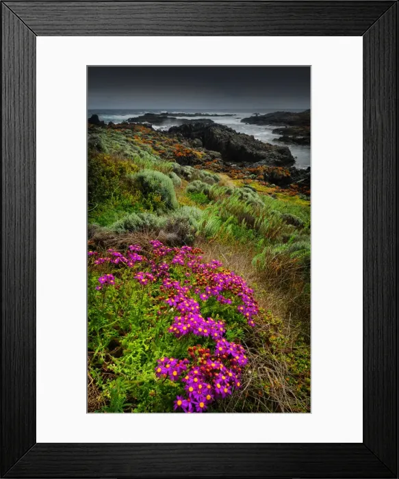 Framed Print : A view of the western coastline of King Island, Bass Strait, Tasmania, Australia