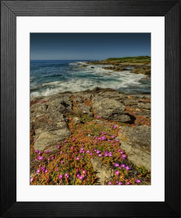 Framed Print : Black Point Viewpoint Framed Print : Black Point Viewpoint