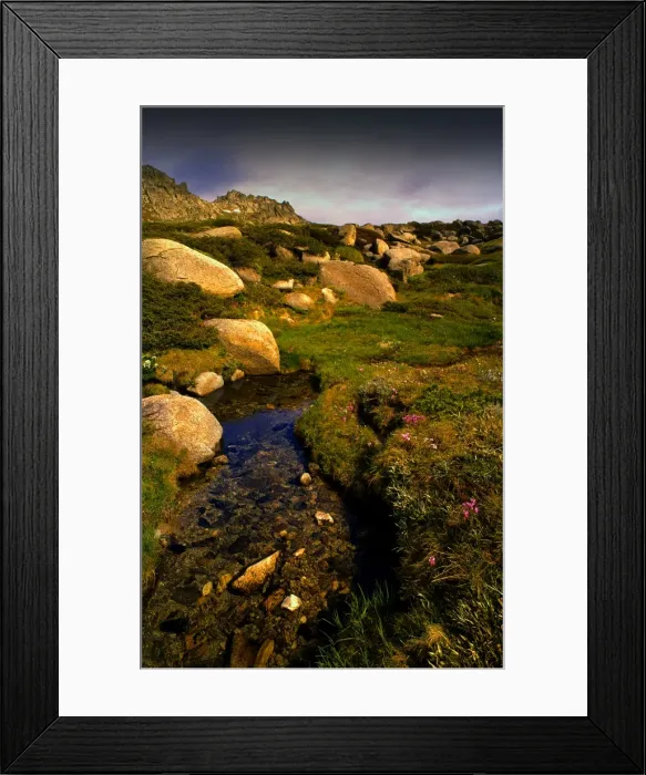 Framed Print : A snow melt pond, alpine New South Wales, Australia Framed Print : A snow melt pond, alpine New South Wales, Australia