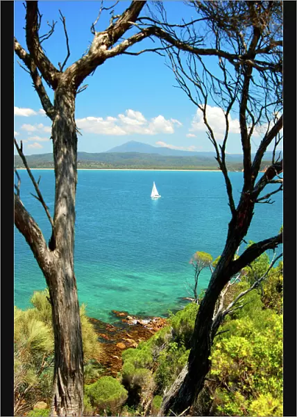 Twofold bay, Eden, southern New South Wales, Australia