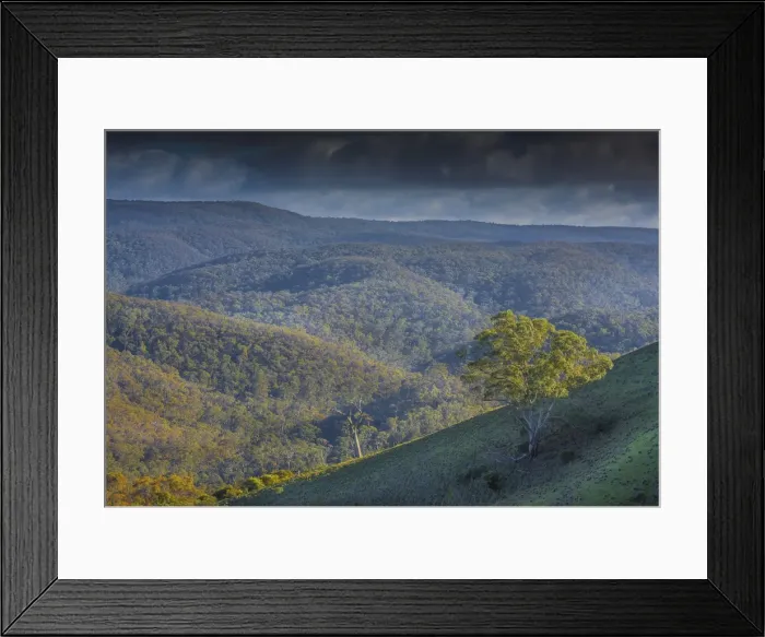 Framed Print : Bullengarook countryside, Macedon Ranges, Victoria, Australia
