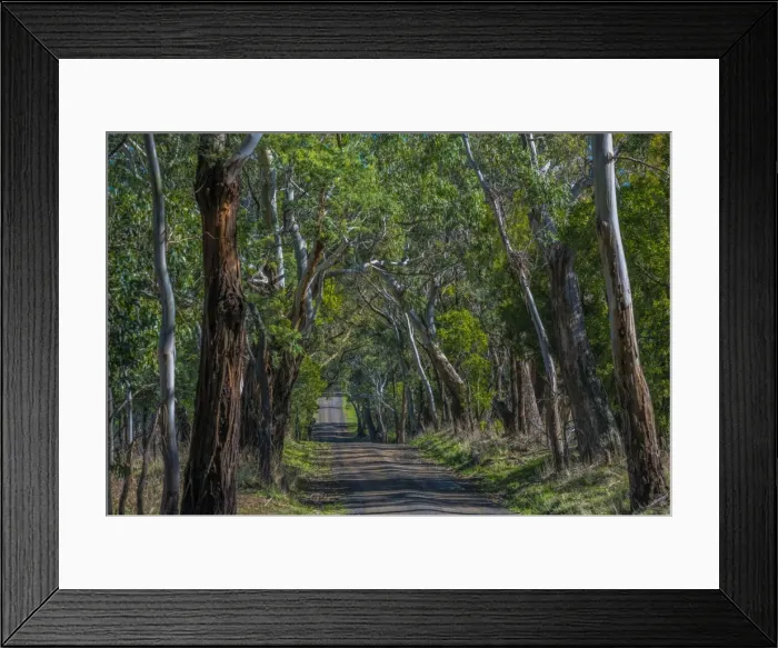 Framed Print : A rural countryside road in the Macedon Ranges, Victoria, Australia Framed Print : A rural countryside road in the Macedon Ranges, Victoria, Australia