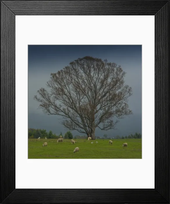 Framed Print : Countryside at Nillahcootie, central Victoria, Australia