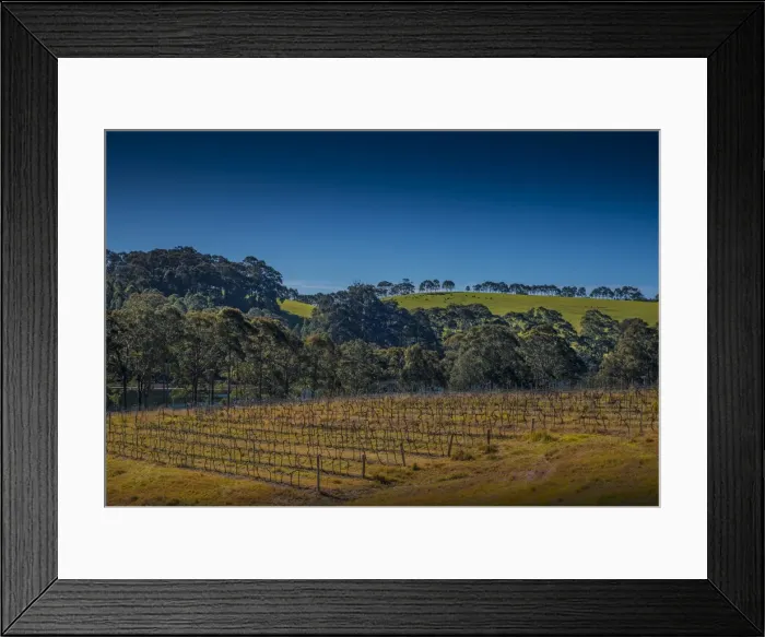 Framed Print : View of the countryside at the Tilba winery, southern coastline of New South Wales, Australia