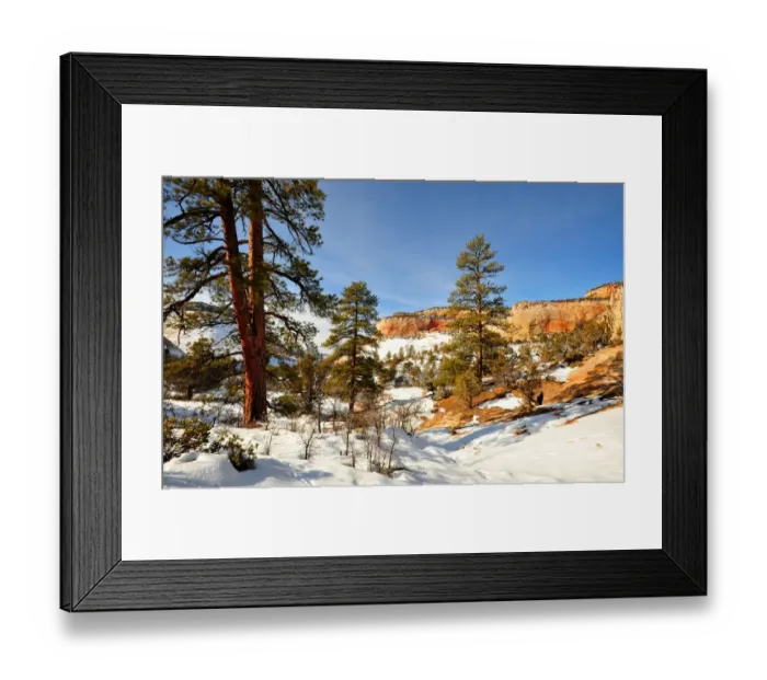Framed Print : Winter in Zion National Park, Utah, southwest United States of America Framed Print : Winter in Zion National Park, Utah, southwest United States of America