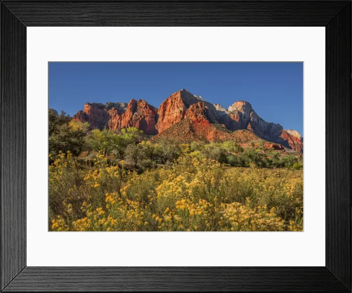 Framed Print : Autumn in Zion National Park, Utah, southwest United States of America