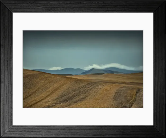 Framed Print : The Palouse, Washington state, USA Framed Print : The Palouse, Washington state, USA